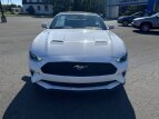 Thumbnail Photo 1 for 2020 Ford Mustang